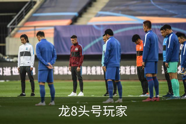 龙8头号玩家 公司简介
